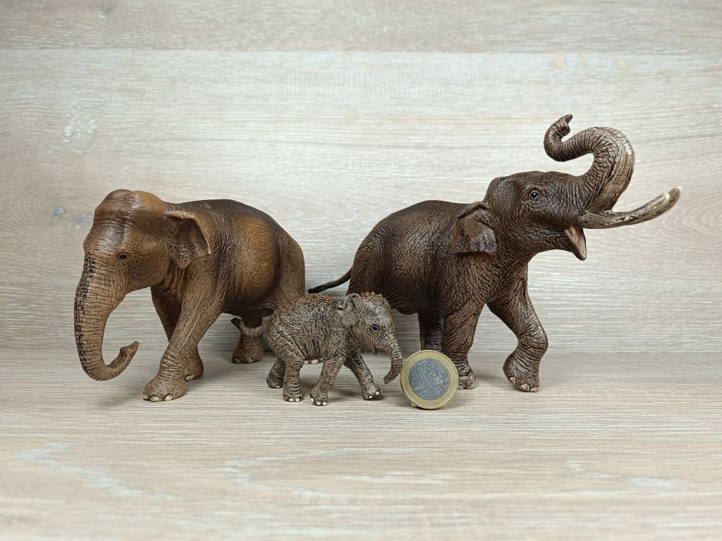 Schleich Asiatische Elefanten Familie Komplett Rar Onlineshop