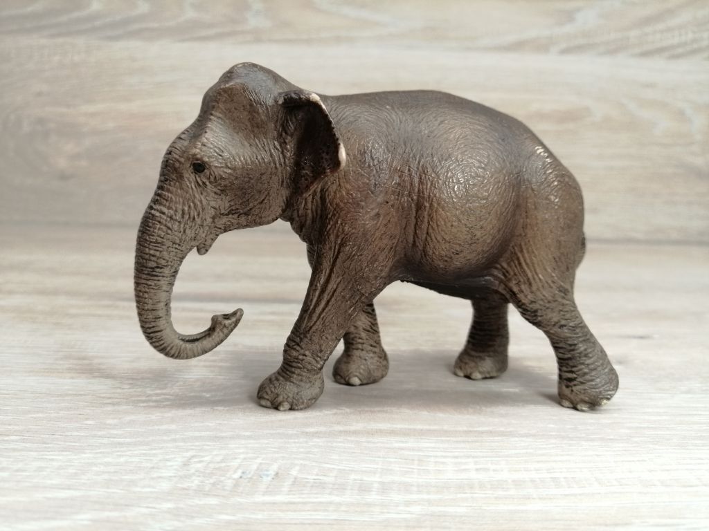 Schleich 14753 Asiatische Elefantenkuh 