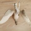Schleich - 70202 Pegasus – Bild 3