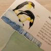 Ravensburger - #30 WWW Junior – Der Pinguin (Classic Version) – Bild 3