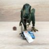 Schleich – 14587 Tyrannosaurus Rex (Fähnchen) [+] – Bild 3