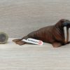 Schleich - 14803 Walross (Fähnchen)