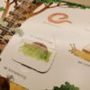 Ravensburger - XXL WWW Junior – Lexikon Meine Welt – Bild 3