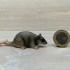 Schleich – 14405 Ratte (RAR) [Die Haustiere – Nr. 5/16]