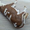 Schleich - 13640 Fleckvieh Bulle (RAR) – Bild 5