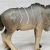 Schleich - 14136 Kudu Antilope [Bock] – Bild 4