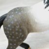 Schleich - 13821 Andalusier Hengst – Bild 4