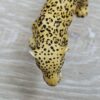 Schleich - 14311 Leopard – Bild 3
