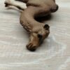 Schleich - 14355 Dromedar – Bild 3