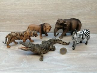 Schleich - Starterset Zoo (Krokodil, Zebra, asiatischer Elefant, Löwe, Tiger)