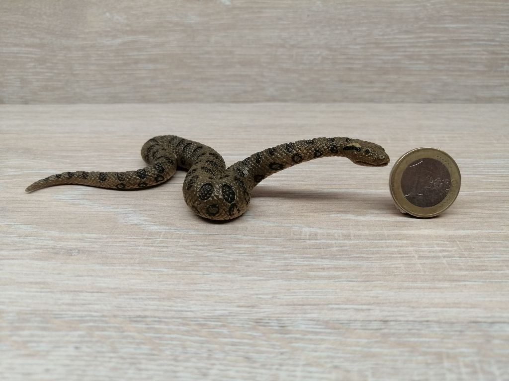 Schleich – 14778 Große Anakonda – Onlineshop Kinderlino