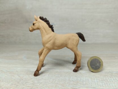 Schleich – Englisch Vollblut Fohlen (aus Kalender 2018) – Bild 2
