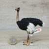 Schleich - 17030 Strauß [WWF] (Fähnchen- Sammler)