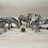 Schleich - Zebra Herde (RAR)