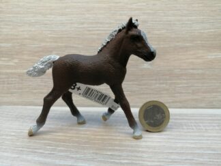 Schleich – 13899 bzw. [Treuefigur] 17077 Schwarzwälder Fohlen (Fähnchen)