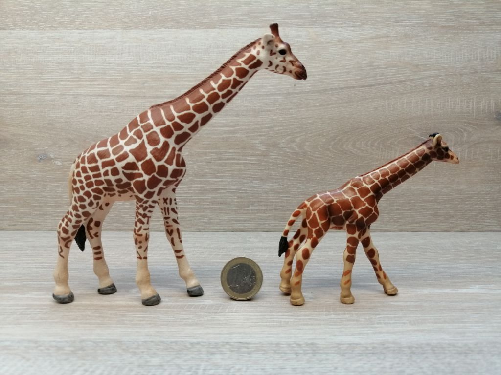 Schleich – Giraffen Familie komplett #1 – Onlineshop Kinderlino