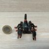 Schleich - 14857 Kaiserskorpion – Bild 2