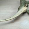 Schleich - 16460 Allosaurus – Bild 4