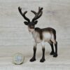Schleich - 14837 Rentier – Bild 2