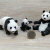 Schleich - Großer Panda Familie komplett