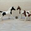 Schleich – Araberpinto Familie komplett