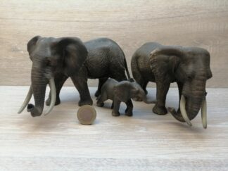 Schleich - Afrikanische Elefanten Familie komplett #2