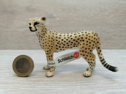 Schleich – 14614 Gepardin (Fähnchen - Sammler)