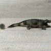 Schleich - 14727 Alligator (Fähnchen) – Bild 3