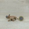 Schleich - 14534 Triceratops, Mini [braun/rot] --- 2015 Nr 6/8 – Bild 3