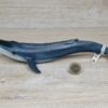 Schleich - 14696 Blauwal (Fähnchen - Sammler)´ – Bild 3