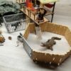 Schleich – 42350 Dschungel Forschungsstation Croko – Bild 14