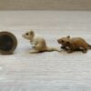 Schleich - 42246 Wüstenrennmaus Set – Bild 4