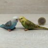 Schleich - Wellensittich Familie