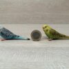 Schleich - Wellensittich Familie – Bild 2