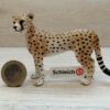 Schleich – 14614 Gepardin (Fähnchen - Sammler)´