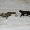Schleich – 42350 Dschungel Forschungsstation Croko – Bild 23