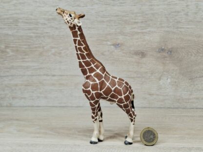 Schleich – 14389 Giraffenbulle – Bild 2