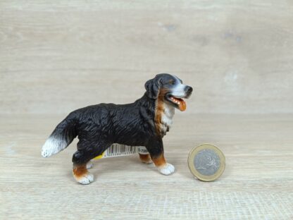 Schleich - 16339 Berner Sennenhund, stehend (Fähnchen - Sammler)`