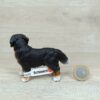 Schleich - 16339 Berner Sennenhund, stehend (Fähnchen - Sammler)` – Bild 3