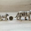 Schleich – Weiße Tiger Familie #1 – Bild 5