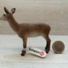 Schleich - 14630 Rothirschkuh (Fähnchen- Sammler)` – Bild 2