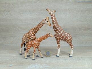 Schleich - Giraffen Familie komplett #1
