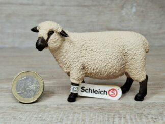 Schleich - 13681 Shropshire Schaf (Fähnchen-Sammler)´