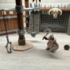 Schleich - 42273 Kampfarena mit Kämpfern – Bild 5
