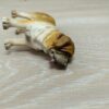 Schleich - 16307 bzw. 16307-1 Bernhardiner [classic Form] – Bild 4