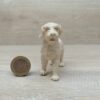 Schleich - 13145 Hofhund Rohling (RAR) [OHNE Fähnchen] – Bild 3