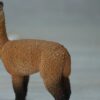 Schleich - 13703 Alpaka Hengst (RAR) – Bild 3