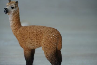 Schleich - 13703 Alpaka Hengst (RAR) – Bild 3