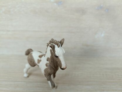 Schleich – 13774 Tinker Fohlen – Bild 3