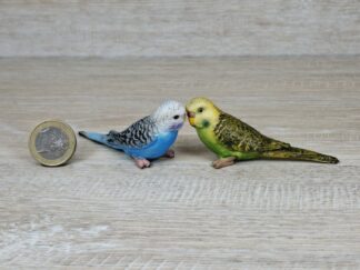 Wellensittich Familie